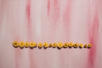 Yellow Flowers on Red and White Textile · Free Stock Photo