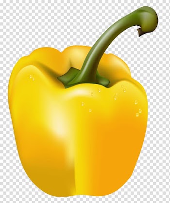 Yellow fruit illustration, Bell pepper Yellow pepper Chili pepper Vegetable , Yellow Pepper transparent background PNG clipart