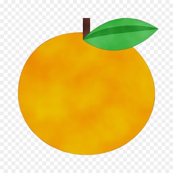 yellow fruit leaf plant apple