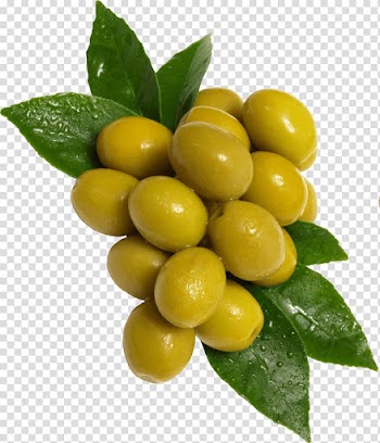 Yellow fruits with green leaves, Green Olives transparent background PNG clipart