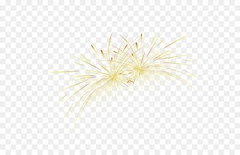Yellow Gold Fireworks - Fireworks 