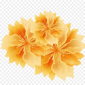 Yellow Golden Flowers Golden Flowers - Golden Flower 