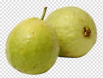 Yellow guavas, Guava Fruit , Guava File transparent background PNG clipart