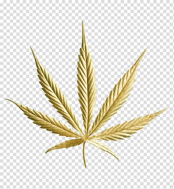 Yellow leaf illustration, Medical cannabis Drug Kush Hemp, marijuana transparent background PNG clipart