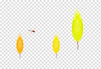 Yellow Leaf Pattern, Autumn trees and dragonflies transparent background PNG clipart