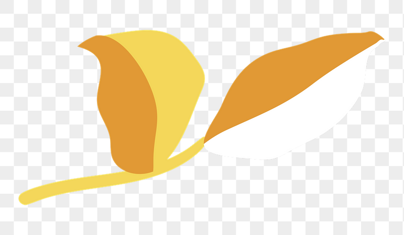 Yellow leaf png  sticker, | Free PNG - rawpixel