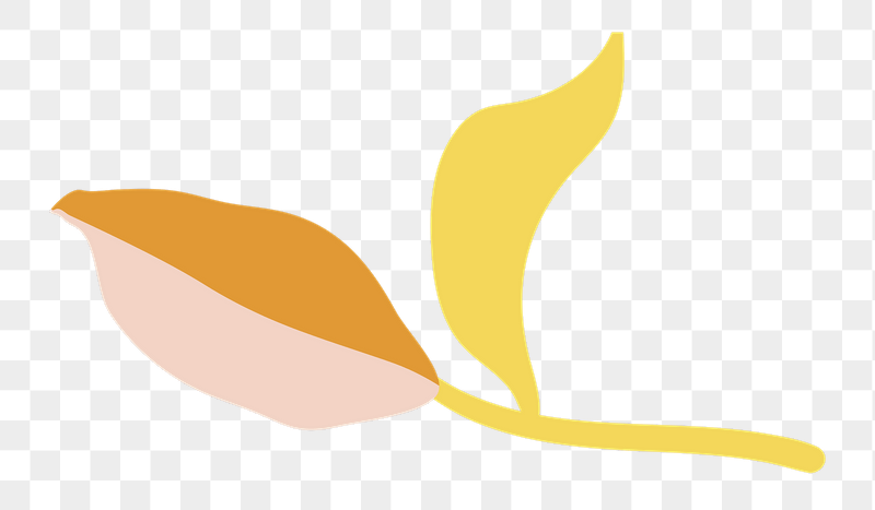 Yellow leaf png  sticker, | Free PNG - rawpixel