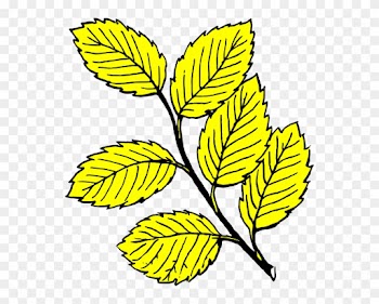 Yellow Leaves Clip Art - Leaf Black And White