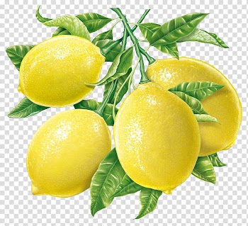 Yellow lemon fruit transparent background PNG clipart