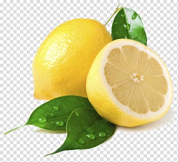 Yellow lemon fruits transparent background PNG clipart
