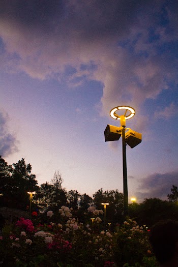 Yellow Lighter Two Megaphones Speaker Pole