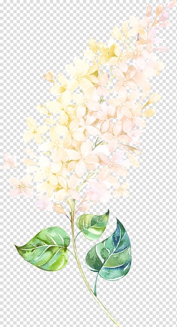 Yellow lilacs , Floral design Petal Watercolor painting Lilac, Floating Flower transparent background PNG clipart