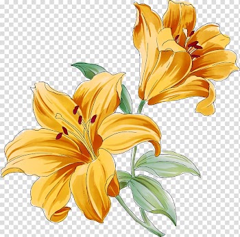 Yellow lilies art, Flower Drawings Watercolor painting , lily of the valley transparent background PNG clipart