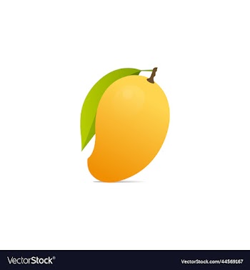 yellow mango