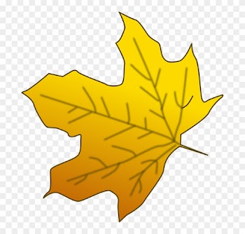 Yellow Maple Leaf Clipart