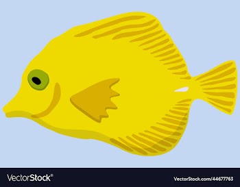 yellow marine exotic fish