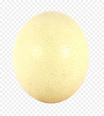 Yellow Material Circle Egg - An ostrich egg 