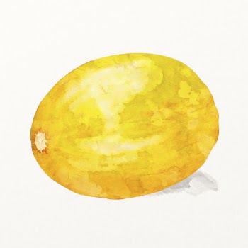 Yellow melon clipart, watercolor fruit | Free Photo Illustration - rawpixel