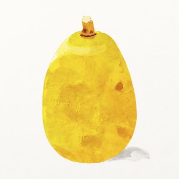 Yellow melon clipart, watercolor fruit | Free Photo Illustration - rawpixel