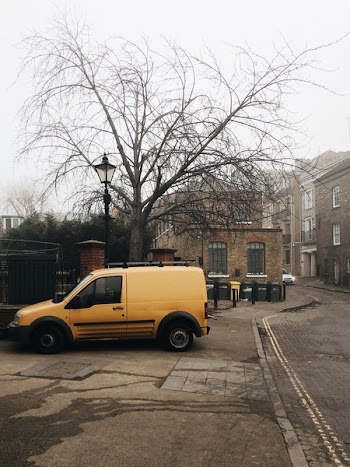 Yellow Minivan Van Parked Near Bare Tree