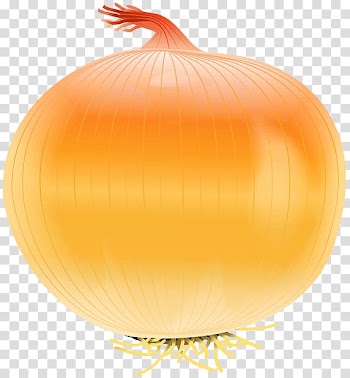 Yellow onion Calabaza Red onion , vegetable transparent background PNG clipart