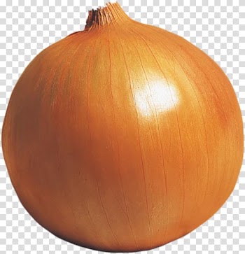 Yellow onion Calabaza Winter squash Pumpkin, onion transparent background PNG clipart