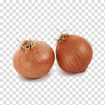 Yellow onion Shallot Calabaza Vegetable, Vegetables onion transparent background PNG clipart