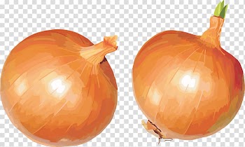 Yellow onion Shallot Calabaza Vegetarian cuisine Pumpkin, Onion transparent background PNG clipart