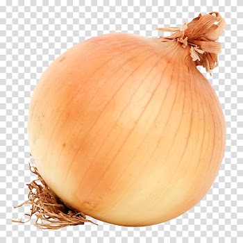Yellow onion Vegetable Mandi, vegetable transparent background PNG clipart