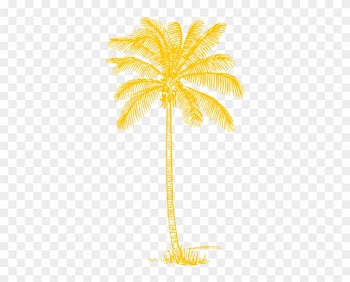 Yellow Palm Tree Clip Art - Coconut Tree Clipart Black And White