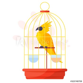 Yellow parrot in a cage