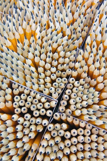 Yellow Pencil Lot