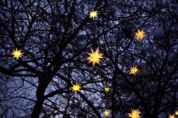 yellow pendant lights on tree