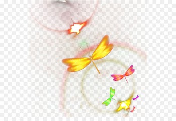 Yellow Petal Close-up Pattern - Colorful butterfly 