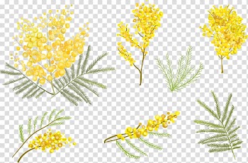 Yellow petaled flower, Flower Euclidean , Small yellow flower transparent background PNG clipart