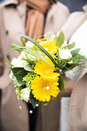 Yellow Petaled Flowers