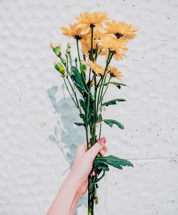 Yellow-petaled Flowers
