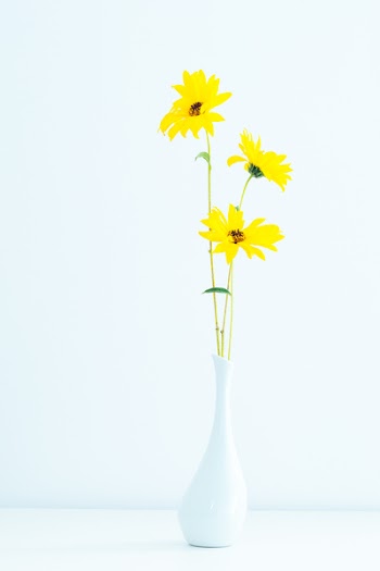 Yellow Petaled Flowers on White Vase