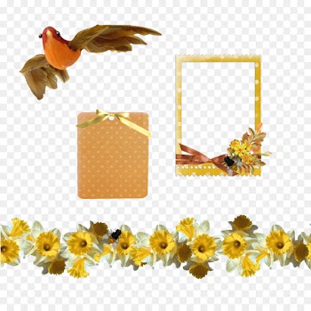 Yellow Picture Frames Portable Network Graphics Clip art Common sunflower -  