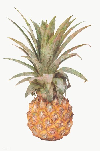 Yellow pineapple design element | Free  transparent png - 2338379