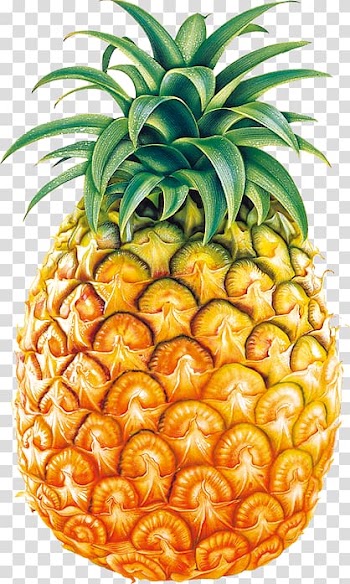 Yellow pineapple illustration, Juice Pineapple , fruit transparent background PNG clipart