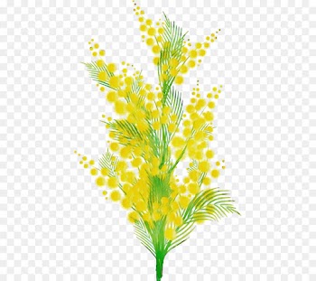 yellow plant leaf flower grass