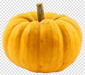 Yellow pumpkin, Pumpkin Calabaza Cucurbita, Pumpkin transparent background PNG clipart