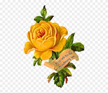 Yellow Rose Clip Art - Garden Roses