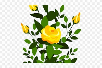Yellow Rose Clipart Rose Plant - Yellow Roses Transparent Background