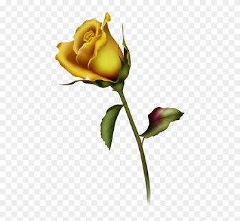 Yellow Rose Clipart Yellow Rose Bud Clip Art Gallery - Rose Buds Tattoo Design
