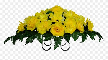Yellow Rose Flower Free Png Transparent Images Free - Yellow Rose Bush Transparent