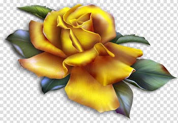 Yellow rose graphics, Rose Yellow , Beautiful Yellow Rose transparent background PNG clipart