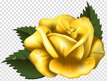 Yellow rose illustration, Rose Yellow , Large Yellow Rose transparent background PNG clipart
