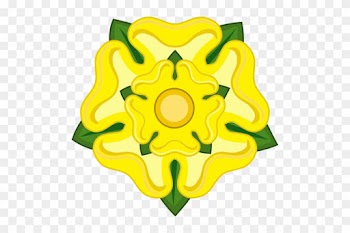 Yellow Rose Of Texas - Richard The 3rd Rose